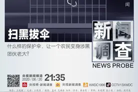 扫黑拔伞！一个普通农民“黑化”背后的庞大关系网图片