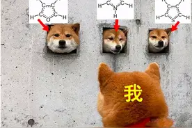 生了三孩怎么带？光脑补完起名我就笑出来了...图片