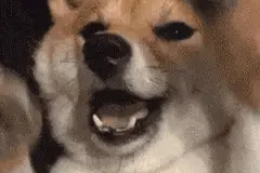 市场大幅度下跌后横盘震荡，该不该离场？图片