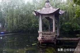 阜阳10大最美乡镇，快看看有你家吗？图片