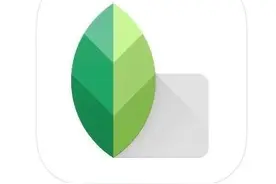 还不会修图？Snapseed手机修图必看教程来了图片