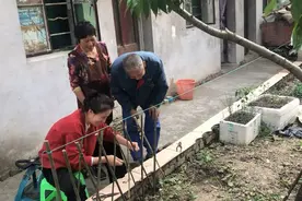 环保美观的竹篱笆图片