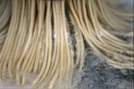 迷你小碗饸饹面，如何填饱平凉人的"面食胃"？图片