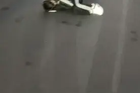 暖心！男子醉酒横躺马路 公交司机伸援手相助图片