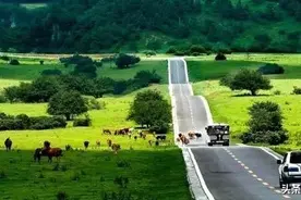 重庆最美的几条公路，美得不像话，等着你去邂逅！图片