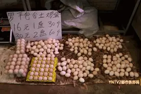 超市纷纷标出“惊爆价”，便宜啦，每个5毛钱！昆明鸡蛋降价啦图片