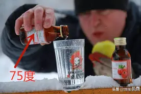 俄罗斯人最爱的5道下酒菜，看完之后我服了：下酒菜都有战斗的味图片