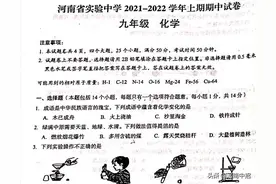 河南省实验中学2021-2022学年九年级上学期期中化学试卷及答案图片