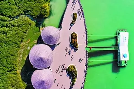 翔安下潭尾红树林湿地生态公园成为新晋网红打卡地图片