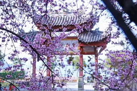 坐游轮去三峡知道了这些常见问题，再去三峡旅游也不迟图片