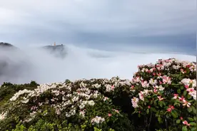 在峨眉山，有一种独特的住宿方式是寄宿在寺庙里图片