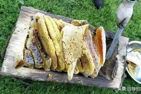 蜂蜜中蔗糖含量不足5%，为啥“白糖蜜”难检测？只因蜜蜂用了1计图片