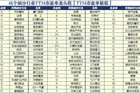 66只A股各行业最低估值股票名单，34股2021股价上涨图片