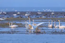 中国一对“双胞胎”省，不但版图“长得像”，地貌风物也如出一辙图片