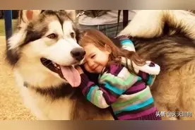 从小有狗狗陪伴长大，才是一个孩子该有的童年图片