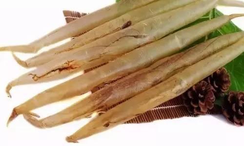 为什么花胶有沙粒 2026年为什么花胶有沙粒的味道