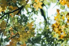 39岁离异女自述：我离婚3年了，和大家说说离婚后的真实生活图片