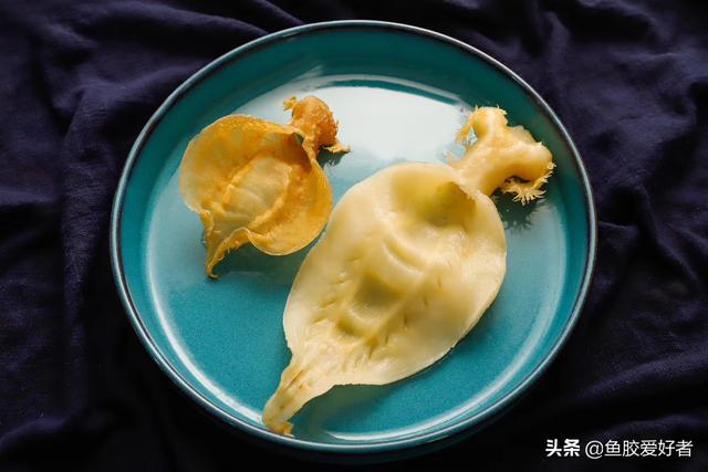 花胶炖一次可以吃多久 2026年花胶一次炖几个