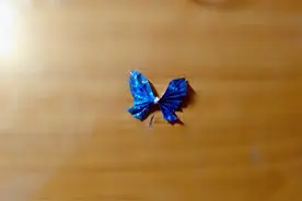 巧做可爱的糖纸蝴蝶（第一款）图片