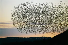 天上除了下雨还能下什么？图片