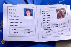 南方的朋友回避一下，“大象驾驶证”你有吗？云南骑象上学实锤了图片