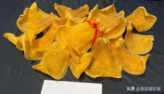 白鳘赤嘴鱼胶 2026年白鳘赤嘴鱼胶的功效