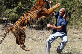 遇到野兽咋办？拳打恶狼，脚踢猛虎？抱歉，人徒手连野狗都打不赢图片