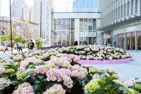 爆款商品五折！ “五五购物节”：港汇恒隆、东方购物、第一八佰伴的打折信息都来了图片