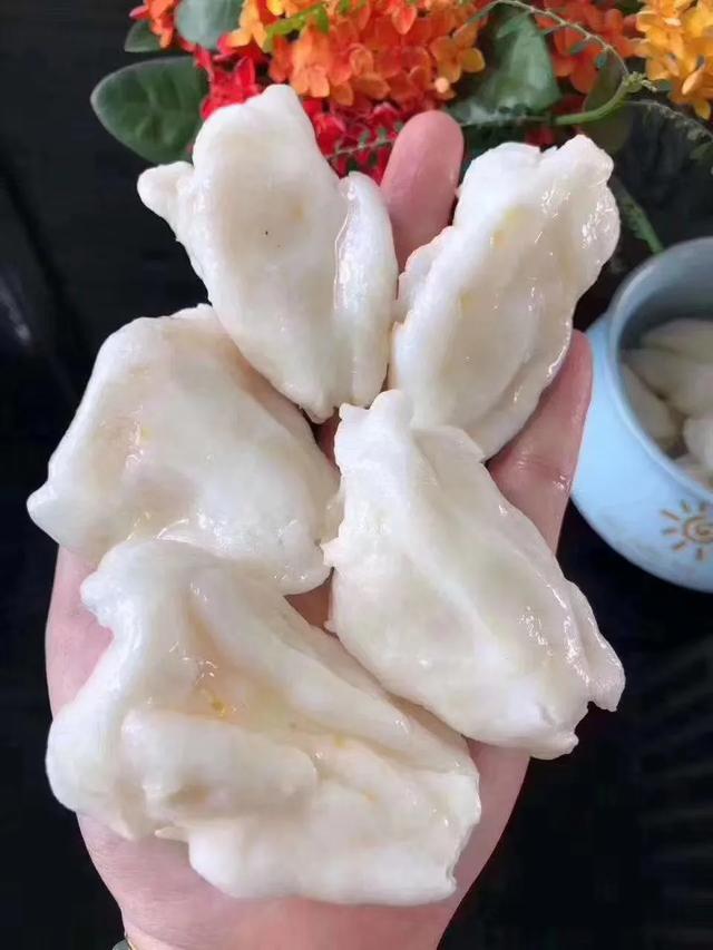 蝴蝶胶和花 蝴蝶胶花胶