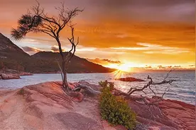 “世界尽头”的方舟菲欣纳（国家公园环球行）图片