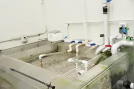 给鱼友们参考：一套完整的魟鱼鱼缸底滤系统