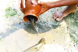 在长满水葫芦的河里放了一个小陶罐，鱼儿拼命的往里钻！