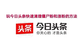 玩今日头条快速清理僵尸粉：和涨粉的方法干货！