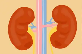 慢性肾小球肾炎能治好吗？医生说与这一因素有关