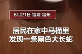 可怕！福建一居民家马桶惊现黑色大蛇图片