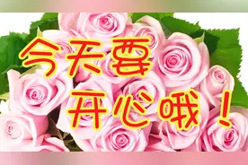 4月11日下午好，一首醉人心悬的情歌相册送你，今天要开心哦！