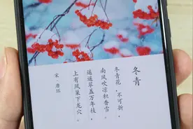 教你打开微信的识花功能，只需轻轻一扫，就能知道花草的名字