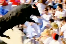 斗牛场上的可怕一幕!斗牛直接翻越栏杆飞向了观众席！视频封面