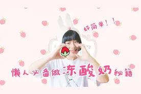 懒人必看颜值爆表的冻酸奶秘籍