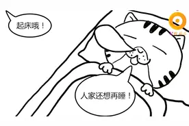 超火神曲《晚安喵》，上班喵的日常！早安要午安要晚安，喵喵……