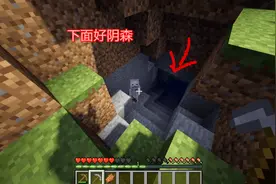 我的世界1：这个矿洞是怎么回事像煤气泄漏一样，都不敢下去了视频封面