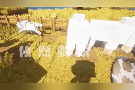 我的世界冷知识：豹猫跟狼不都吃肉？攸然实验得出意外真相！