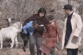 海清陪老公回乡下老家，到哪就要走，这媳妇可真是太金贵了！视频封面