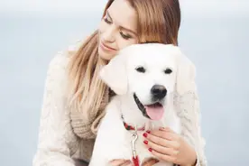 人与狗在生理上还有这个共同点，许多人都还不知道