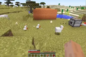 我的世界 鸡蛋孵小鸡秘诀