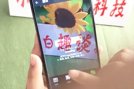 2分钟教你了解微信扫一扫的隐藏功能，这4个实用功能你绝对没试过视频封面