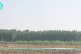 国内最大载药量植保无人机TDN-01问世 载药量80公斤视频封面