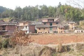 这4类地区的农民好日子来了，免费分房，贫困家庭补贴1万，有你吗视频封面