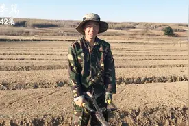 东北大龙：实拍东北人参种植过程，一斤种子就350元，你敢相信么视频封面