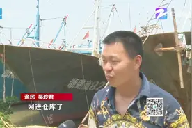 明起东海全面伏休，渔船纷纷回港